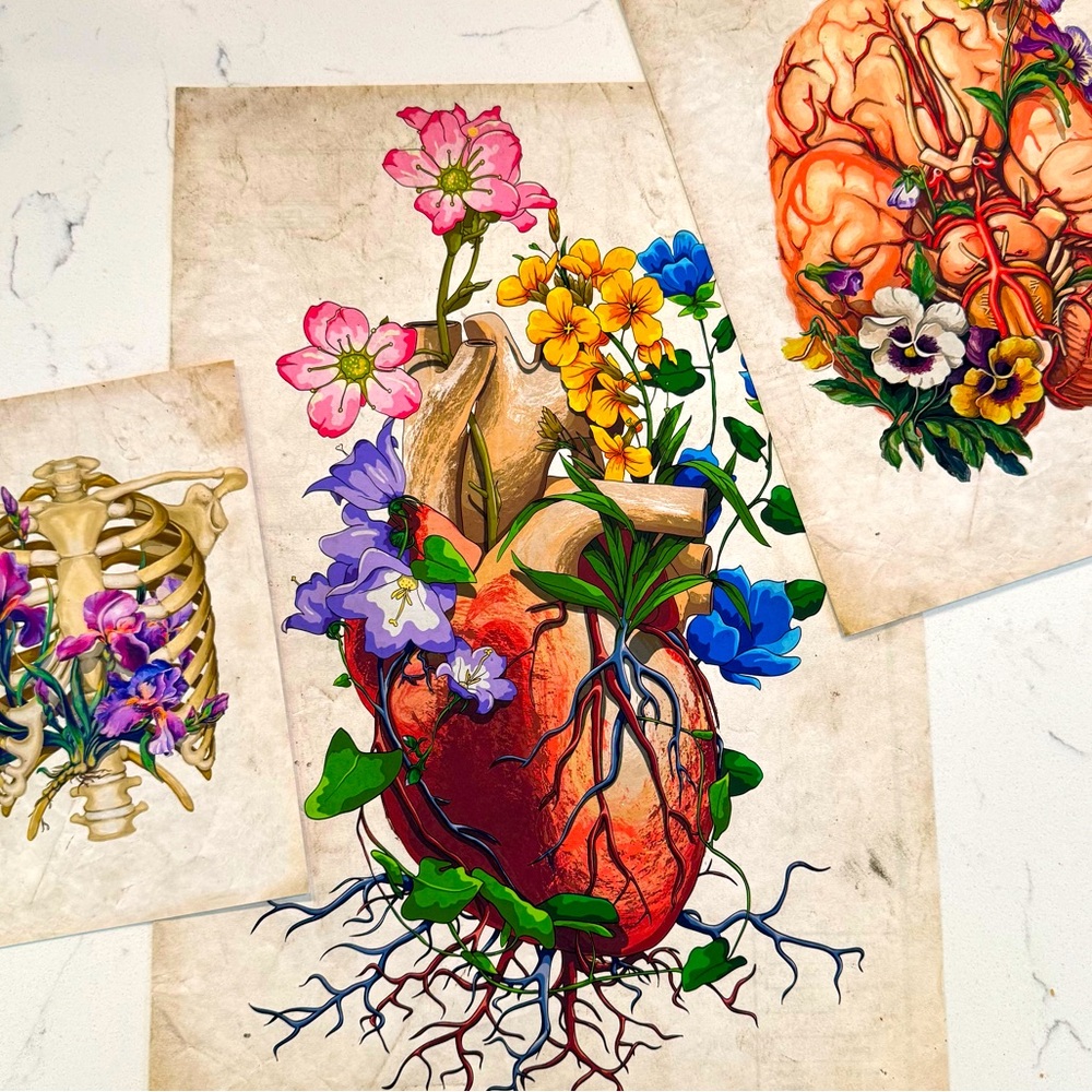 Botanical Anatomy Prints